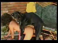 Old milf grinding into dog's knot