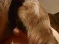 Proud husband records the fun while his beautiful wife gets hammered by a mutt in this movie