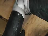 Fuck-hungry Moldavian female is having sex with a horse