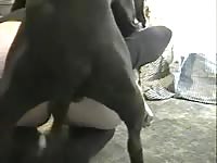 Horny Scottish woman likes getting banged by her dog