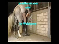 Danish pervert likes getting fucked by horses