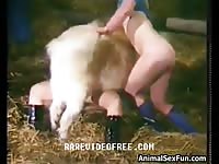 Insane zoophilia movie features a pair of married sluts banging a massive pig in the barn