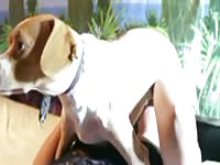 American teenage gets tired and decides to such her dog's dick