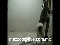 MexZoo - Lovely brown-haired teenage adores fucking with her pet