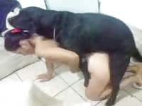 Asian mom teases dog then lets him fuck her hard