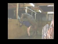 Horse fucks him so hard he moans as he cums hard