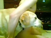 Twink guides dog's cock so he can fuck him