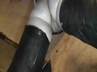Brazilian slut gets fucked by her father's horse