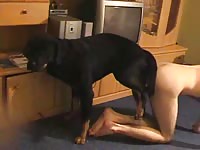 Cute French milf is having sex with her black dog in the living room
