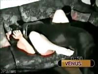 BBW busty woman gets fucked by dog on the couch