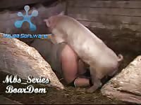 Gay man loves getting fucked by pig