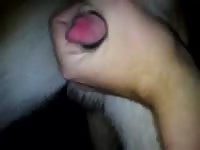 Mexican pervert likes fapping his dog's big dick