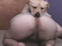 Fat guy is having fun with his dog after boring work
