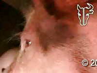 Horny bitch likes dirty sex in the stables