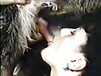 Cum thirsty married babe shows off her dick sucking skills on a horse in this beast sex movie