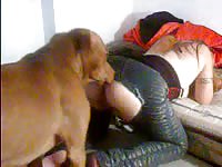 Slut in cut off jeans gets her dog's huge knot deep in her cunt