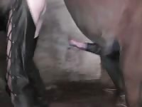 Girl in leather chaps getting epic creampie from well hung horse
