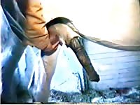 Dude plays with horse's balls and jerks off it's massive black dick