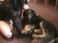 Polish dark-haired bitch is having intercourse with her black pet