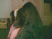 Horny dark-haired girl is getting fucked by her obedient doggy