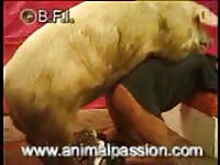 Kinky gay man fucked in the ass by pig at the farm