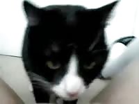Woman spreads peanut butter on pussy for her kitty to lick