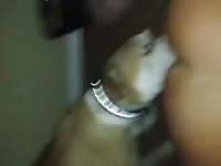 Woman gets licked clean by her loyal dog