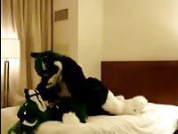 Stunning fresh-faced college hottie getting fucked by a horse in this insane bestiality footage