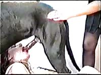 Brown-haired woman enjoys getting fucked by her new black pet