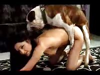 Fabulous collection of never before seen zoophilia sex videos featuring coeds with big dogs