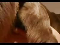 Housewife pumped full of dogs juicy load then licked out by his big tongue