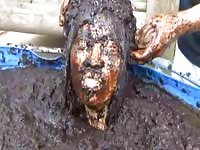 Incredible never released before scat fetish video features young Asian bathing in pit of poop