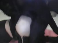 Good fucking animal fuck animal porno porno zoo animalsex zoosex porn zoo