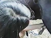 Hot latino brunette gets penetrated by a small horse