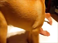Hq dog sex dirtstyle dog fuck girl dog sex zoo sex videos dog sex videos zoosex all animal porn