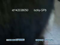 Lucky may russian dog movie free zoo porn dog sex video porn animal