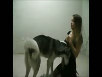 Mexzoo miss f teasing a horny husky zoo porn dog sex dog xxx zoosex