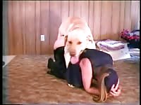 My fragile looking wife fucks with our golden retriever zoo porn dog sex xxx dog animals porn