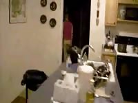 New home video zooporn dogporn dog xxx animals porn