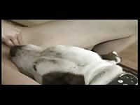 Rubia buena zoo porn dog sex xxx dog animals porn
