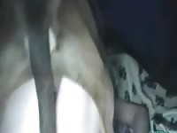 Sally introducing sally animal sex zoosex girl fucks dog