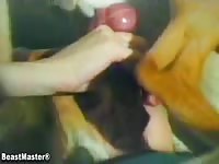 She likes her dogs beastmaster zoo porn sex with dog beastiality porn zoosex