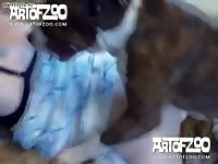 Sveta white russian zoo sex video zoo sex videos girl fucks dog