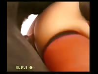 This dane is enough bfi zooporn dog porn beastiality animal sex