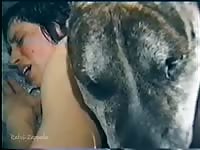 Violette dog porn animal porn zoo porn