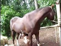 Young girl and a big horse zoo porn horse xxx animals porn