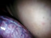 Zoo porno video zoo sex zooporn