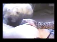 Amateur 2 girls and a sheepdog dog fucks girl