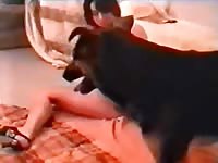 Amateur private home dog sex dog porn zoosex porn with animals