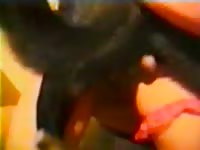 Animal dog sex animals for fun 13 hot redhead get painfull fuck from big black dog knot scene 7 04min rr